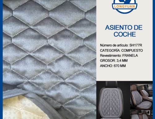 ASIENTO DE COCHE